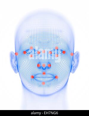 Biometric facial map Stock Photo