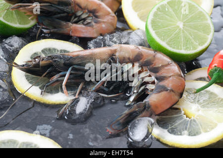 King prawns on ice, lemon and lime. Stock Photo