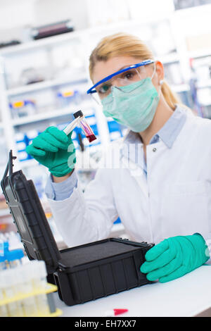 Biological specimen Stock Photo