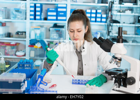 Lab assistant using pipette Stock Photo
