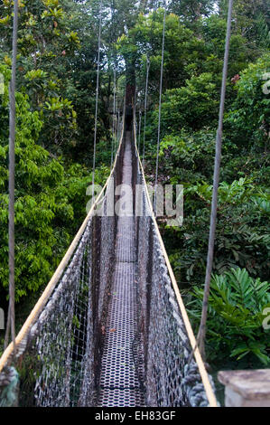 Canopy walkway at Atta Rainforest Lodge near Iwokrama, Guyana, South America Stock Photo
