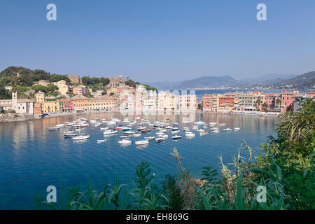 Baia del Silenzio Bay, old town, Sestri Levante, Province Genoa, Riveria di Levante, Liguria, Italy, Europe Stock Photo