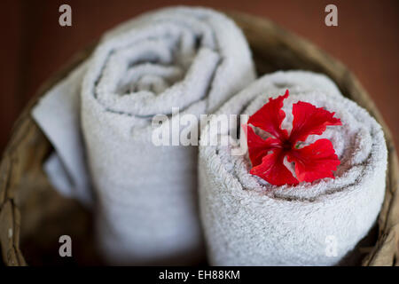 Two rolled white towels in a basket, red hibiscus flower, Ayurvedic Spa, Kerala, India Stock Photo