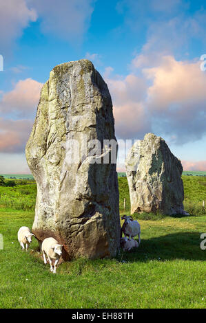 Avebury Neolithic standing stone circle, UNESCO World Heritage Site, Wiltshire, England, United Kingdom Stock Photo