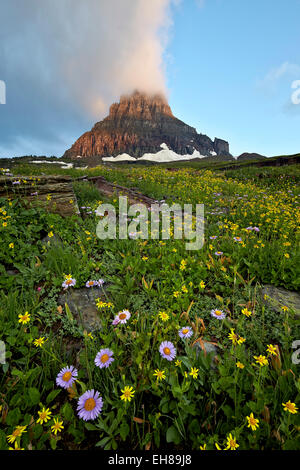 Alpine meadow, Glacier National Park, Montana, United States of America, North America Stock Photo