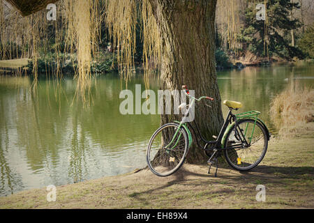 old bicycle under a tree Stock Photo