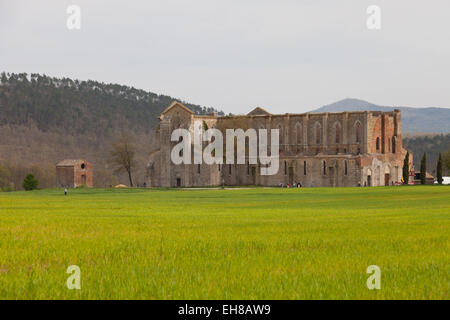 San Galgano Abbey ruins in Chiusdino, Siena, Tuscany, Italy, Europe Stock Photo
