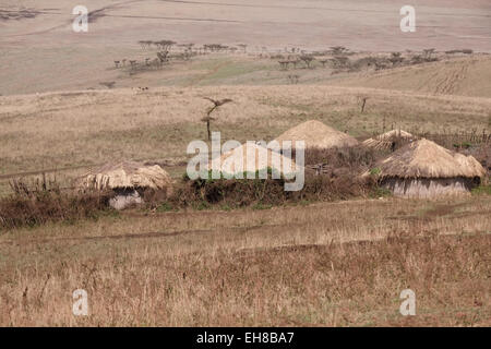 Maasai huts surrounded by Enkang barrier formed by a thick round 'fence' of sharp thorn bushes at the plains of the Ngorongoro Conservation Area in the Crater Highlands area of Tanzania Eastern Africa Stock Photo