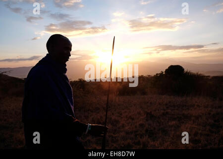 Silhouetted Maasai warrior holding a spear at the plains of the Ngorongoro Conservation Area in the Crater Highlands area of Tanzania Eastern Africa Stock Photo