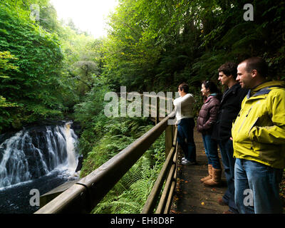 Glens of Antrim, Glenariff Forest Park Stock Photo