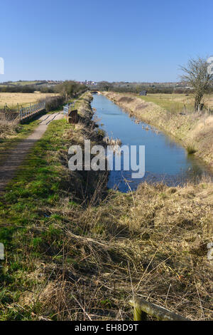 The restored Berks and Wilts canal near Wootton Bassett in Wiltshire