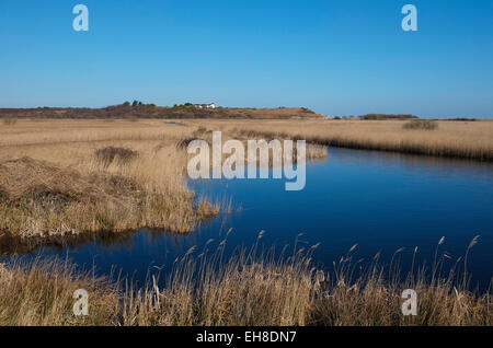 salt marsh habitat at minsmere nature reserve, suffolk, england Stock Photo