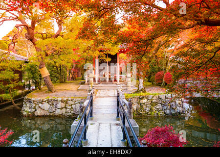 Fall foliage in Kyoto, Japan. Stock Photo