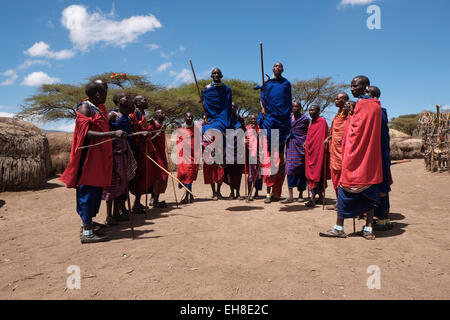 A group of Maasai men taking part in the traditional Adumu dance commonly Known as the Jumping Dance performed in a coming of age ceremony for young warriors in the Maasai tribe in the Ngorongoro Conservation Area in the Crater Highlands area of Tanzania Eastern Africa Stock Photo