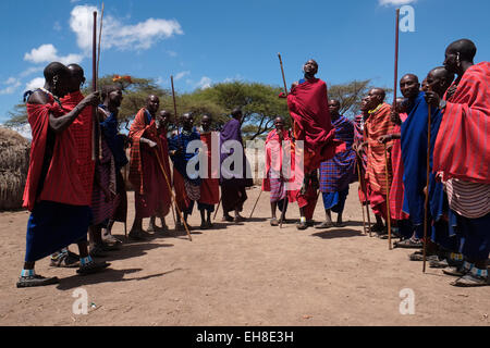 A group of Maasai men taking part in the traditional Adumu dance commonly Known as the Jumping Dance performed in a coming of age ceremony for young warriors in the Maasai tribe in the Ngorongoro Conservation Area in the Crater Highlands area of Tanzania Eastern Africa Stock Photo