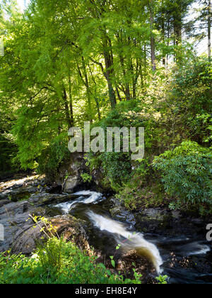 Glenariff forest Park, Waterfall, ,Glens of Antrim, Northern Ireland Stock Photo