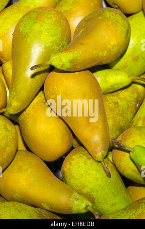 Pears Stock Photo