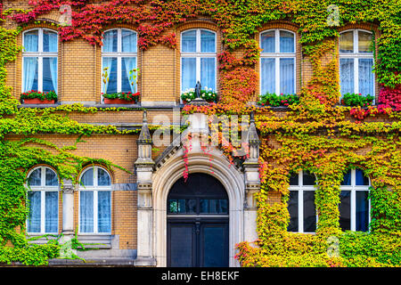 Vine covered building facade in Berlin, Germany. Stock Photo