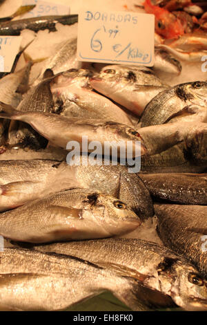 Fish on sale in La Boqueria Market, Barcelona, Catalonia, Spain Stock Photo