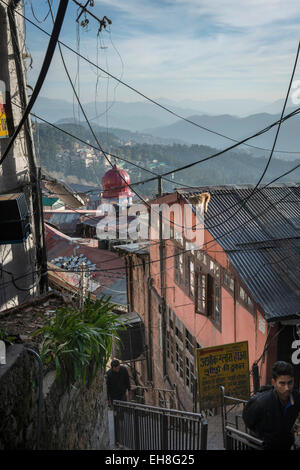 A monkey on a roof above the busy bazaar below The Ridge in Shimla, Himachal Pradesh, India Stock Photo