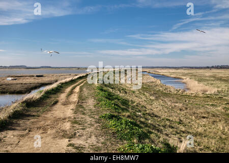 An embankment along the edge of the River Alde protects the nearby coastal town of Aldeburgh, Suffolk, UK, from flooding Stock Photo