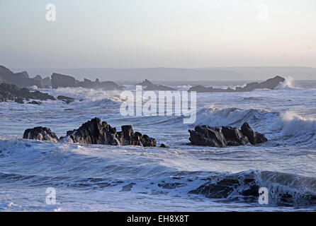 Rocks at Duckpool Beach, near Bude, North Cornwall, UK Stock Photo