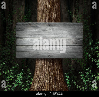 Forest blank sign background as an old thick group of trees with a weathered rustic wooden board as a symbol for nature advertising and marketing a message. Stock Photo