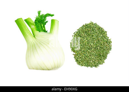 Fennel bulb and seeds isolated on white Stock Photo