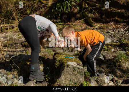 Nine year old girl and her seven year old brother looking at newly caught insects placed in their bug box, in North Bend, WA Stock Photo