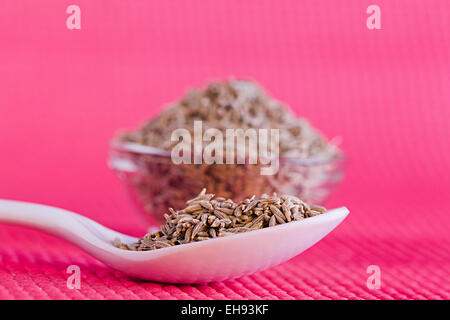 Abundance Cumin Seed Arranging Bowl  Food and Nutrition Quality nobody Stock Photo