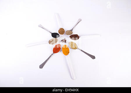 Abundance Masale Powder Spoon Variation  Food and Nutrition Quality nobody Stock Photo