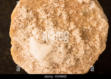 Frozen chicken cutlets covered with frost from the freezer Stock Photo