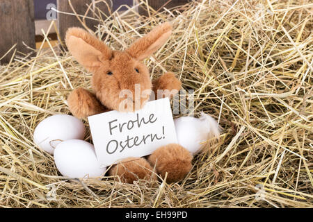 Easter bunny holding a card with german text Happy Easter Stock Photo