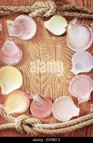 shells on wooden background Stock Photo