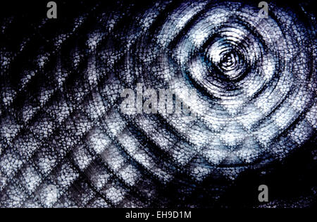 The Abstract and Background Texture in Two Tone on Leather. Stock Photo