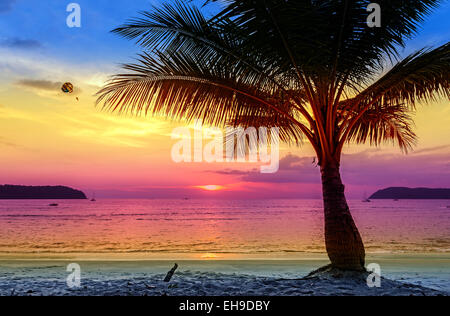 Holiday background made of palm trees silhouettes at sunset. Stock Photo