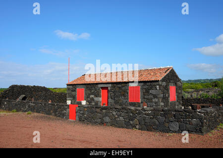 Typical house made of volcanic rocks, Verdelho wine region, Pico Island, Azores, Portugal Stock Photo