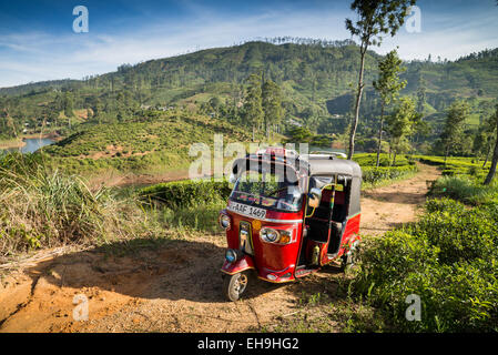 Tuk tuk motor taxi driving along main road through tea plantations in the Sri Lanka highlands, around Adams Peak,  Asia Stock Photo