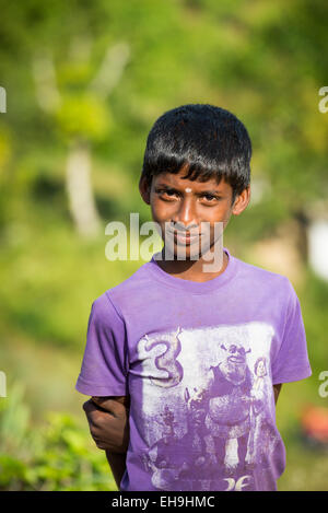 Boy on Tea Plantation in Maskeliya, Sri Lanka, Asia Stock Photo