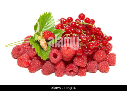 Pile of fruits isolated on white background Stock Photo
