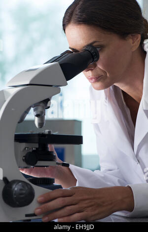 Scientist using microscope in laboratory Stock Photo