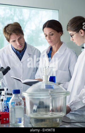 Scientists conducting experiment in laboratory Stock Photo