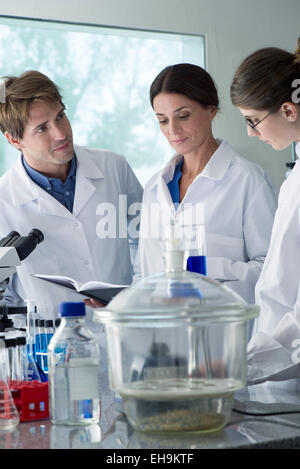 Scientists conducting experiment in laboratory Stock Photo