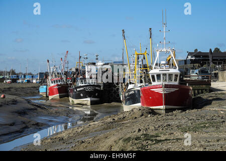 Cockle boats tied up at low tide at Leigh on Sea in Essex. Stock Photo