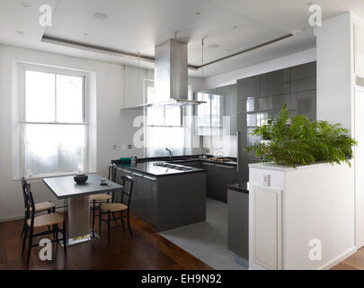 Modern kitchen and dining area with large extraction fan and built in planter in Cumberland Street home, UK Stock Photo