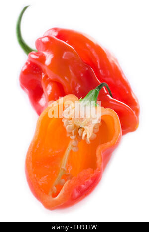 Habanero chili on white background. Stock Photo