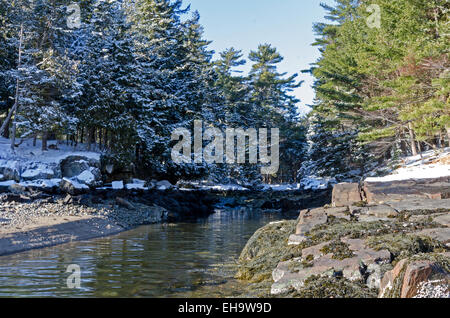 The high tide line of a brackish creek is clearly marked in the snow, Bar Harbor, Maine Stock Photo