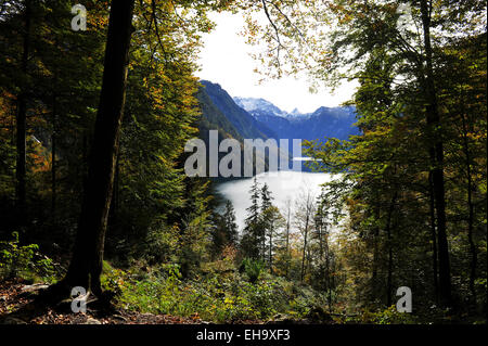 View from Malerwinkel to Koenigssee upper bavaria germany europe Stock Photo