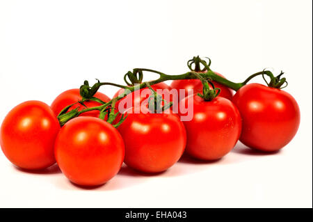 ripe cherry tomatoes on the vine Stock Photo