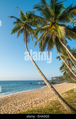 Goyambokka beach, Tangalle, Sri Lanka, Asia Stock Photo